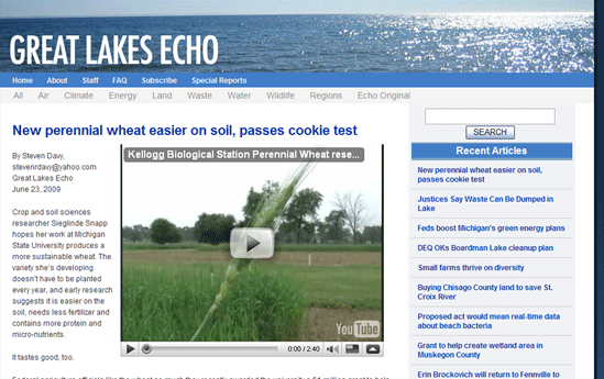 Great-Lakes-Echo--perennial